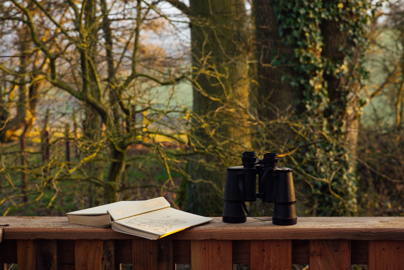 Secluded Woodland Setting